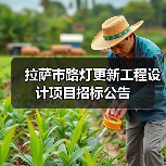 拉萨市路灯更新工程设计项目招标公告(图2) 拉萨市路灯更新工程设计项目招标公告(图2)