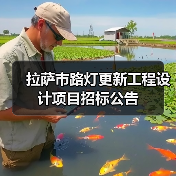 拉萨市路灯更新工程设计项目招标公告(图4) 拉萨市路灯更新工程设计项目招标公告(图4)
