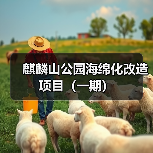 麒麟山公园海绵化改造项目(一期)(图1) 麒麟山公园海绵化改造项目(一期)(图1)