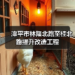 漳平市林隆北路至桂北路提升改造工程(图1) 漳平市林隆北路至桂北路提升改造工程(图1)