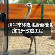 漳平市林隆北路至桂北路提升改造工程(图3) 漳平市林隆北路至桂北路提升改造工程(图3)