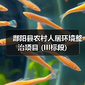 鄱阳县农村人居环境整治项目 (III标段)(图1) 鄱阳县农村人居环境整治项目 (III标段)(图1)