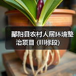 鄱阳县农村人居环境整治项目 (III标段)(图2) 鄱阳县农村人居环境整治项目 (III标段)(图2)