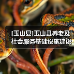 [玉山县]玉山县养老及社会服务基础设施建设项目（发电机变压器及泵房）项目（项目编号：JXGY202504）电子化公开招标公告