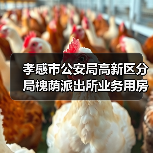 孝感市公安局高新区分局槐荫派出所业务用房、高新区应急处突队备勤和训练用房建设工程项目(HBXG-202512FJ-048001001)招标公告(图3) 孝感市公安局高新区分局槐荫派出所业务用房、高新区应急处突队备勤和训练用房建设工程项目(HBXG-202512FJ-048001001)招标公告(图3)