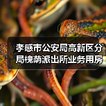 孝感市公安局高新区分局槐荫派出所业务用房、高新区应急处突队备勤和训练用房建设工程项目(HBXG-202512FJ-048001001)招标公告(图2) 孝感市公安局高新区分局槐荫派出所业务用房、高新区应急处突队备勤和训练用房建设工程项目(HBXG-202512FJ-048001001)招标公告(图2)