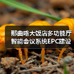 那曲喀大饭店多功能厅智能会议系统EPC建设项目项目重新二次招标公告(图1) 那曲喀大饭店多功能厅智能会议系统EPC建设项目项目重新二次招标公告(图1)