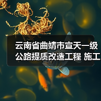 云南省曲靖市宣天一级公路提质改造工程 施工招标公告(图3) 云南省曲靖市宣天一级公路提质改造工程 施工招标公告(图3)
