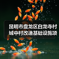 昆明市盘龙区白龙寺村城中村改造基础设施项目-南院路新建部分施工招标公告