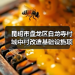 昆明市盘龙区白龙寺村城中村改造基础设施项目-南院路新建部分施工招标公告（图2）