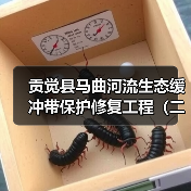贡觉县马曲河流生态缓冲带保护修复工程(二期)项目招标公告(图2) 贡觉县马曲河流生态缓冲带保护修复工程(二期)项目招标公告(图2)