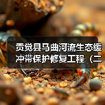贡觉县马曲河流生态缓冲带保护修复工程(二期)项目招标公告(图1) 贡觉县马曲河流生态缓冲带保护修复工程(二期)项目招标公告(图1)