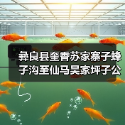 彝良县奎香苏家寨子蜂子沟至仙马吴家坪子公路建设项目招标公告（图4）