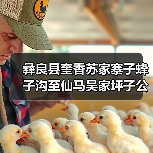 彝良县奎香苏家寨子蜂子沟至仙马吴家坪子公路建设项目招标公告（图2）