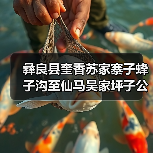 彝良县奎香苏家寨子蜂子沟至仙马吴家坪子公路建设项目招标公告