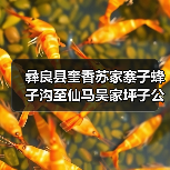 彝良县奎香苏家寨子蜂子沟至仙马吴家坪子公路建设项目招标公告（图3）