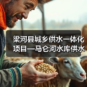 梁河县城乡供水一体化项目—马仑河水库供水工程招标公告