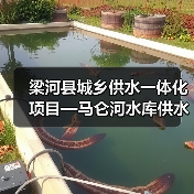 梁河县城乡供水一体化项目—马仑河水库供水工程招标公告（图2）