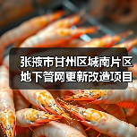 张掖市甘州区城南片区地下管网更新改造项目(图2) 张掖市甘州区城南片区地下管网更新改造项目(图2)