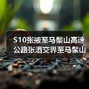 S10张掖至马鬃山高速公路张酒交界至马鬃山段项目电力线路改迁设计施工总承包(图4) S10张掖至马鬃山高速公路张酒交界至马鬃山段项目电力线路改迁设计施工总承包(图4)