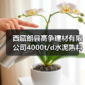 西藏朗县高争建材有限公司4000t/d水泥熟料生产线迁建项目道路+厂区前EPC工程总承包项目(1标段（包）)补充文件