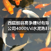 西藏朗县高争建材有限公司4000t/d水泥熟料生产线迁建项目道路+厂区前EPC工程总承包项目(1标段(包))补充文件(图3) 西藏朗县高争建材有限公司4000t/d水泥熟料生产线迁建项目道路+厂区前EPC工程总承包项目(1标段(包))补充文件(图3)