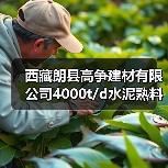 西藏朗县高争建材有限公司4000t/d水泥熟料生产线迁建项目道路+厂区前EPC工程总承包项目(1标段(包))补充文件(图2) 西藏朗县高争建材有限公司4000t/d水泥熟料生产线迁建项目道路+厂区前EPC工程总承包项目(1标段(包))补充文件(图2)