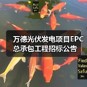 万德光伏发电项目EPC总承包工程招标公告（图2）