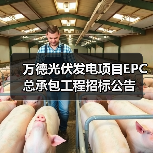 万德光伏发电项目EPC总承包工程招标公告（图3）