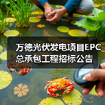 万德光伏发电项目EPC总承包工程招标公告（图4）