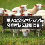 重庆安全技术职业学院高峰新校区建设项目(一期)EPC总承包(图2) 重庆安全技术职业学院高峰新校区建设项目(一期)EPC总承包(图2)