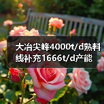 大冶尖峰4000t/d熟料线补充1666t/d产能(图4) 大冶尖峰4000t/d熟料线补充1666t/d产能(图4)
