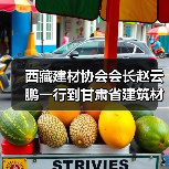 西藏建材协会会长赵云鹏一行到甘肃省建筑材料行业协会座谈交流(图1) 西藏建材协会会长赵云鹏一行到甘肃省建筑材料行业协会座谈交流(图1)