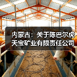 内蒙古:关于陈巴尔虎天宝矿业有限责任公司谢尔塔拉铁锌矿深部技改工程建设项目核准的通知(图4) 内蒙古:关于陈巴尔虎天宝矿业有限责任公司谢尔塔拉铁锌矿深部技改工程建设项目核准的通知(图4)