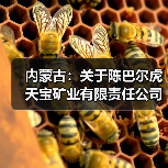 内蒙古:关于陈巴尔虎天宝矿业有限责任公司谢尔塔拉铁锌矿深部技改工程建设项目核准的通知(图1) 内蒙古:关于陈巴尔虎天宝矿业有限责任公司谢尔塔拉铁锌矿深部技改工程建设项目核准的通知(图1)