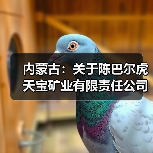 内蒙古:关于陈巴尔虎天宝矿业有限责任公司谢尔塔拉铁锌矿深部技改工程建设项目核准的通知(图2) 内蒙古:关于陈巴尔虎天宝矿业有限责任公司谢尔塔拉铁锌矿深部技改工程建设项目核准的通知(图2)