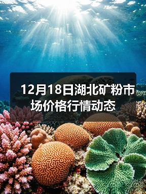 12月18日湖北矿粉市场价格行情动态（图4）
