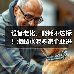 设备老化、能耗不达标!海螺水泥多家企业进行整改(图3) 设备老化、能耗不达标!海螺水泥多家企业进行整改(图3)
