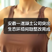 安徽一混凝土公司突出生态环境问题整改完成(图2) 安徽一混凝土公司突出生态环境问题整改完成(图2)