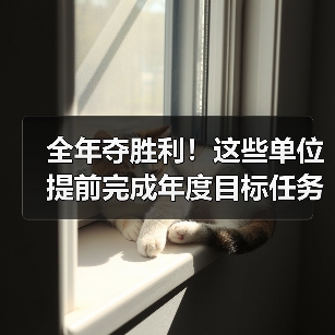 全年夺胜利！这些单位提前完成年度目标任务（图2）
