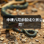 中建八局参股成立新公司!(图4) 中建八局参股成立新公司!(图4)
