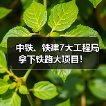 中铁、铁建7大工程局拿下铁路大项目！