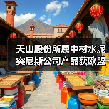 天山股份所属中材水泥突尼斯公司产品获欧盟CE认证(图2) 天山股份所属中材水泥突尼斯公司产品获欧盟CE认证(图2)