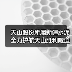 天山股份所属新疆水泥全力护航天山胜利隧道顺利通车(图3) 天山股份所属新疆水泥全力护航天山胜利隧道顺利通车(图3)