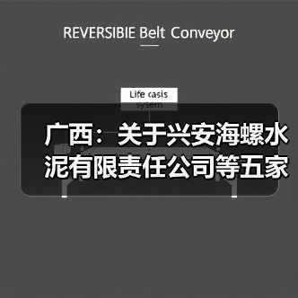 广西:关于兴安海螺水泥有限责任公司等五家企业水泥熟料生产线补充产能置换方案的公告(图1) 广西:关于兴安海螺水泥有限责任公司等五家企业水泥熟料生产线补充产能置换方案的公告(图1)