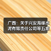 广西:关于兴安海螺水泥有限责任公司等五家企业水泥熟料生产线补充产能置换方案的公告(图3) 广西:关于兴安海螺水泥有限责任公司等五家企业水泥熟料生产线补充产能置换方案的公告(图3)