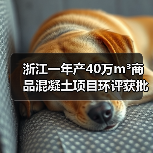 浙江一年产40万m³商品混凝土项目环评获批！（图2）