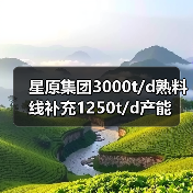 星原集团3000t/d熟料线补充1250t/d产能（图2）
