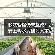 多次督促仍未整改！都安上峰水泥被列入重点关注名单