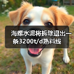 海螺水泥将拆除退出一条3200t/d熟料线(图3) 海螺水泥将拆除退出一条3200t/d熟料线(图3)